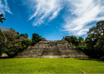 au coeur du monde maya