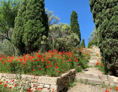 Les jardins remarquables méditerranéens