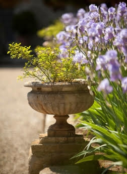 Les jardins remarquables méditerranéens