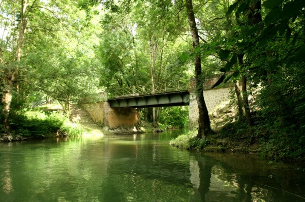 ANGOULÊME FAIT RAYONNER SES TRÉSORS DE LA NATURE