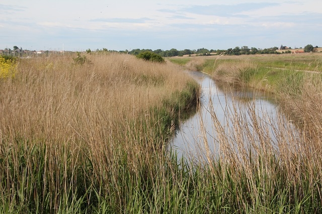 marais-poitevin-niort