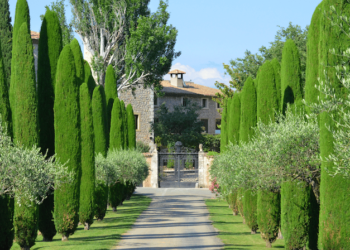 Château de Berne