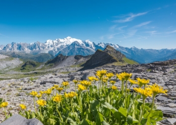 La montagne e en été en mode Grandes Randonnées