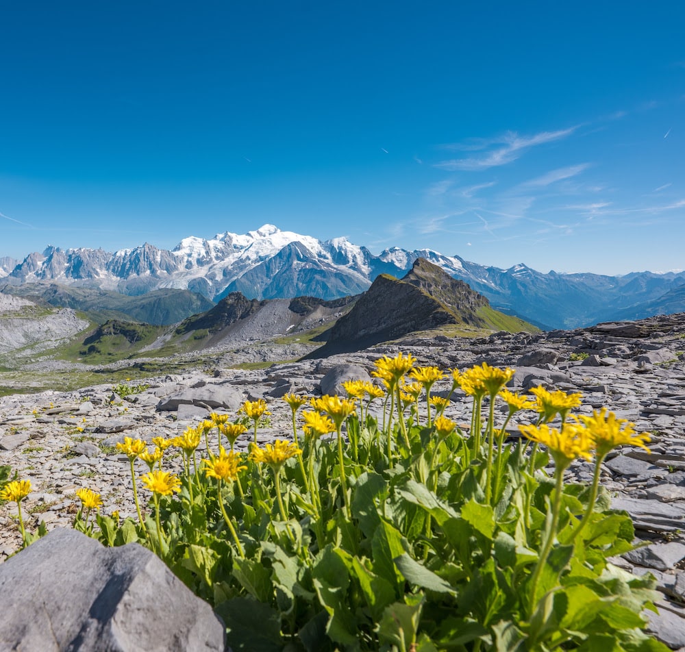 La montagne e en été en mode Grandes Randonnées