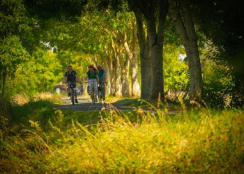 La Vélobuissonnière : 250km d’échappées nature