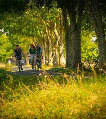 La Vélobuissonnière : 250km d’échappées nature