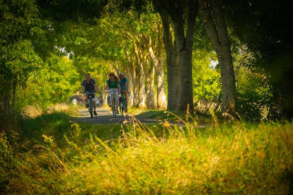 La Vélobuissonnière : 250km d’échappées nature