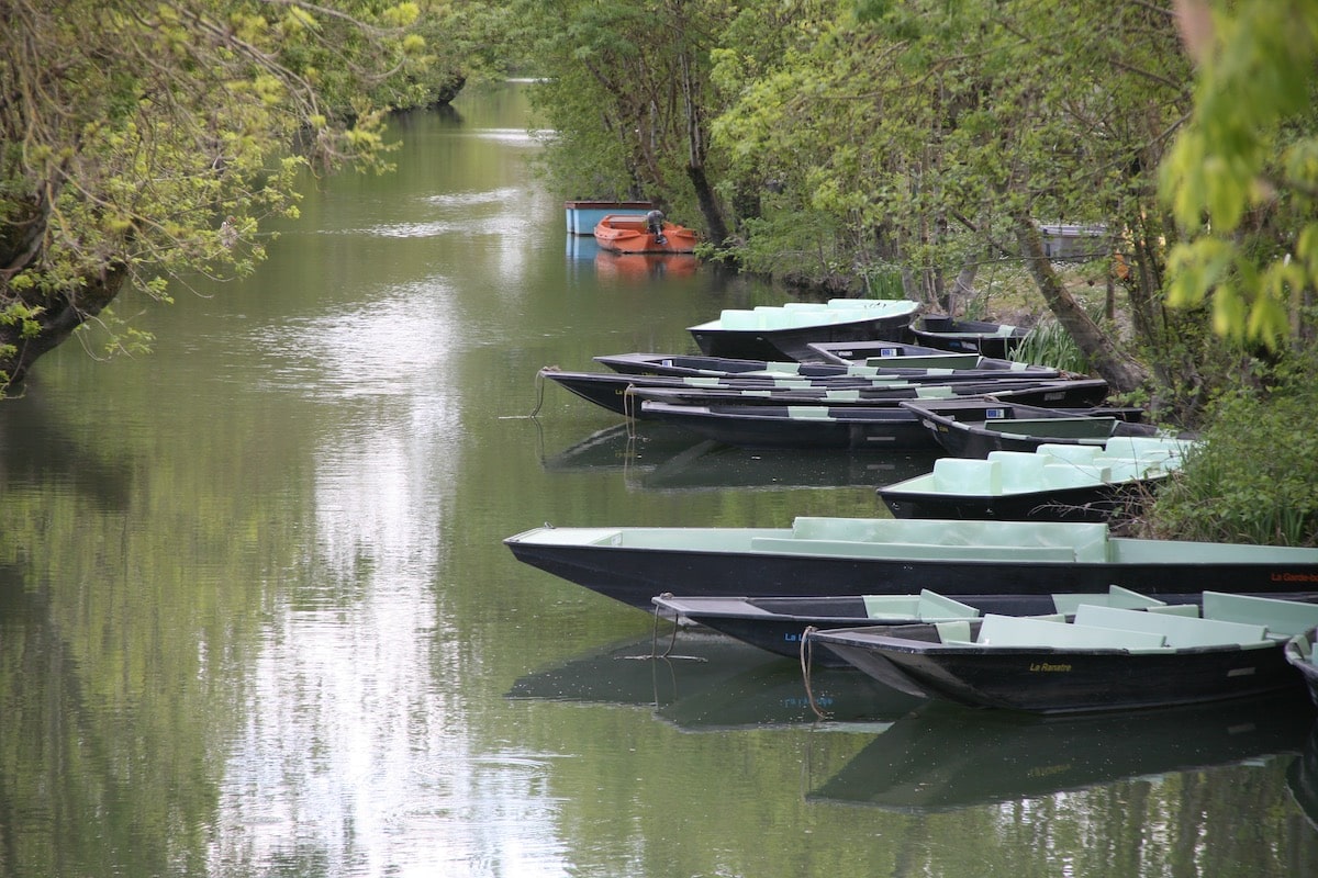 Visite du Parc Naturel Régional du Marais Poitevin