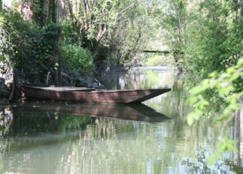 Visite du Parc Naturel Régional du Marais Poitevin