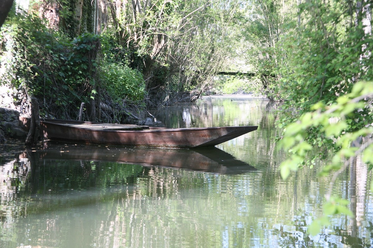 Visite du Parc Naturel Régional du Marais Poitevin