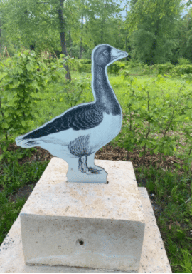 Rendez-vous aux jardins 2021 Château de Chantilly