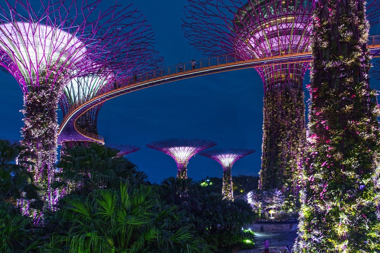 Singapour voit l’avenir en vert