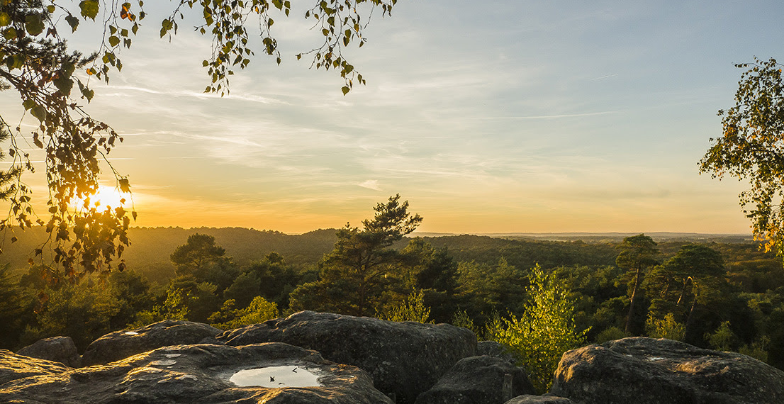 foret de fontainebleau