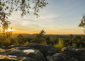 foret de fontainebleau