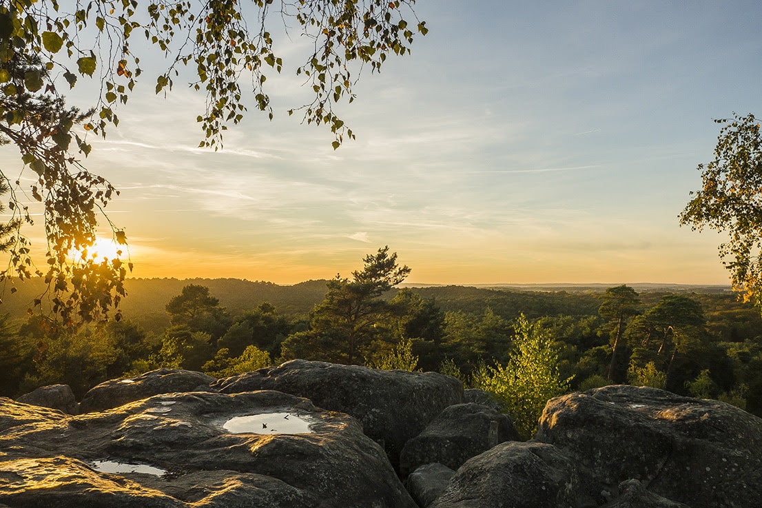 foret de fontainebleau 