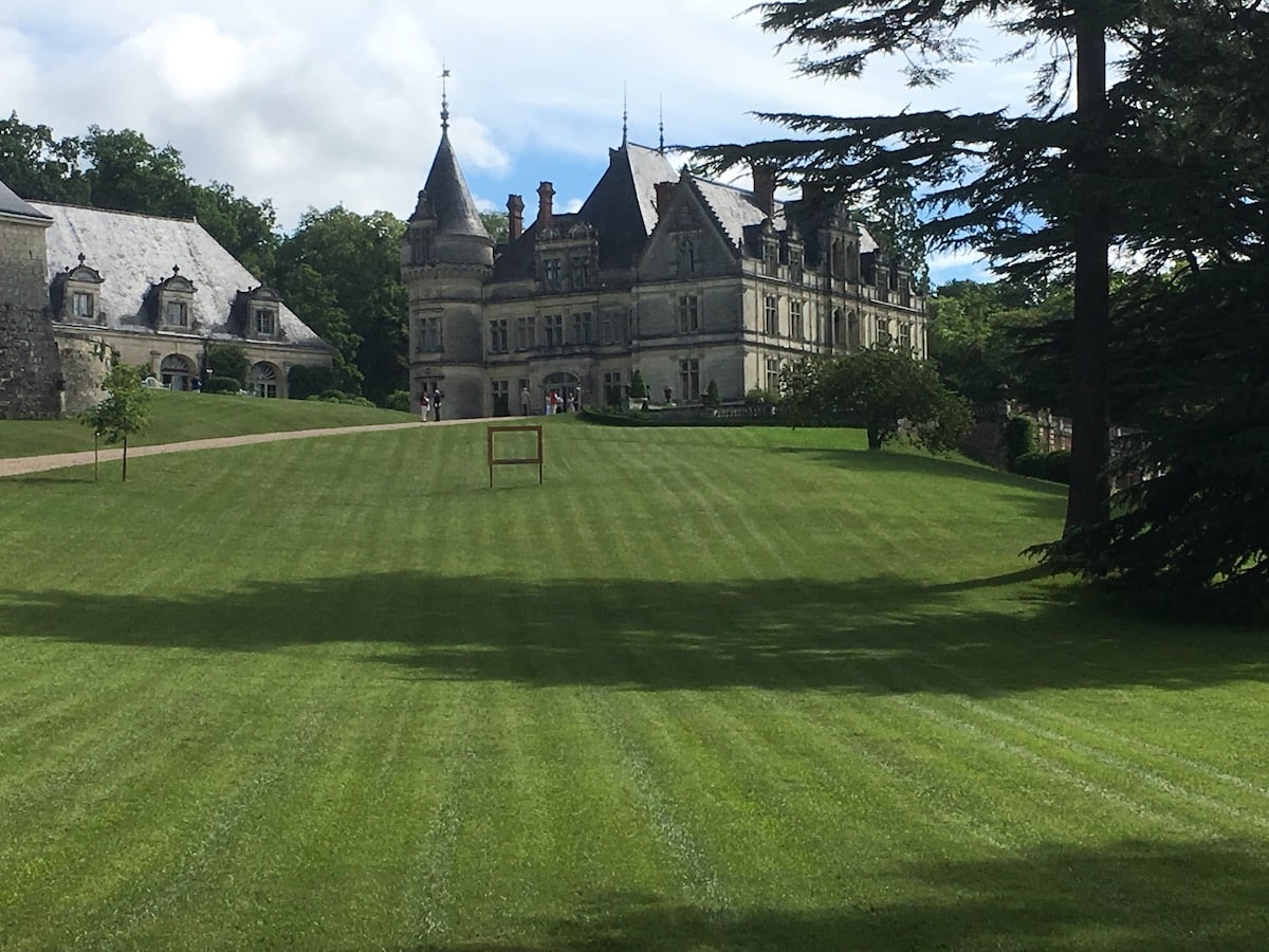 Château de la Bourdaisière