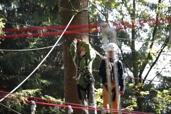 Activité dans les bois en Allemagne