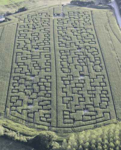 Pop corn labyrinthe