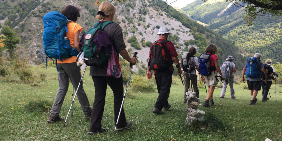 IDÉES DE SÉJOUR AU COEUR DES FORÊTS DOMANIALES DE L'ONF !