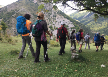 IDÉES DE SÉJOUR AU COEUR DES FORÊTS DOMANIALES DE L'ONF !