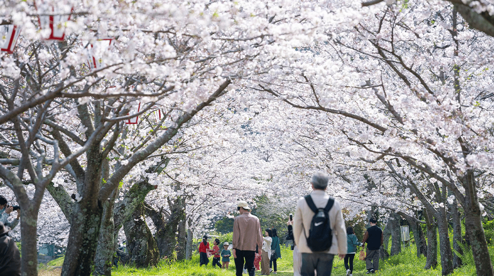 JAPON