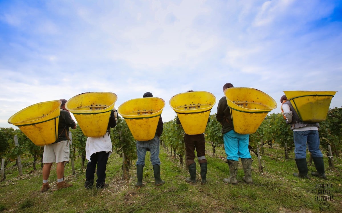 ROUTES  DES VINS