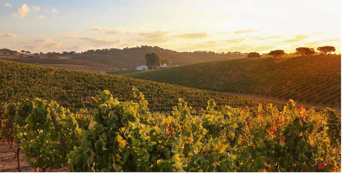 ALENTEJO 