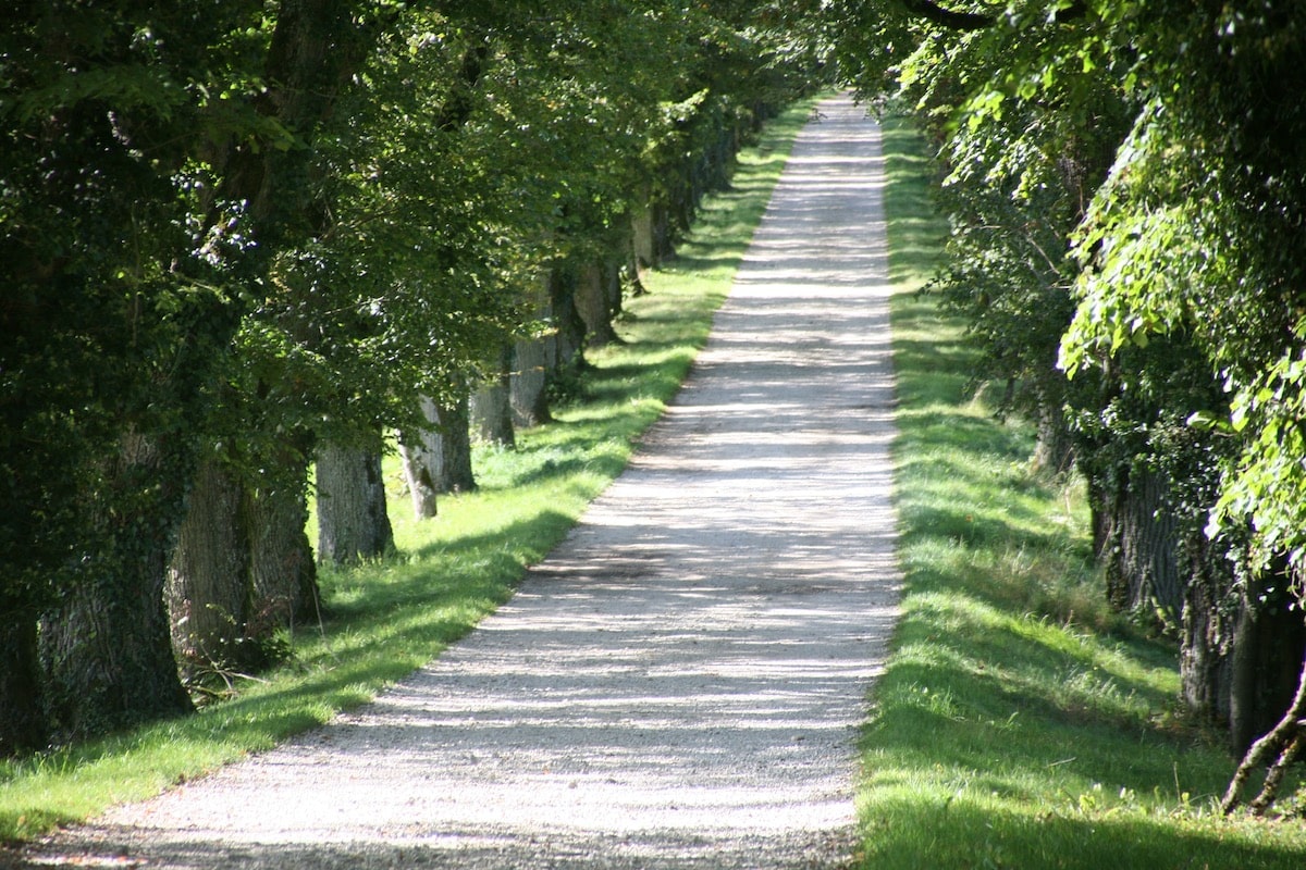 HAUTE MARNE
