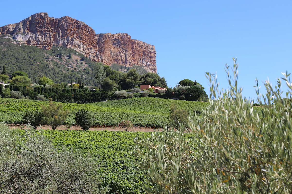 cassis