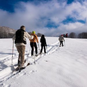 Raquettes en Chartreuse