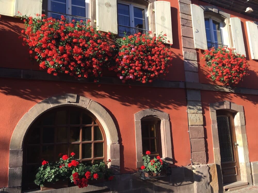 HOSTELLERIE DES CHATEAUX à OTTROT ALSACE