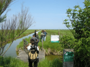 LES CHARENTES