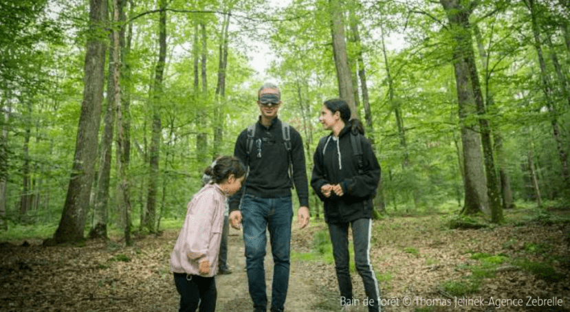 Forêt en Vienne