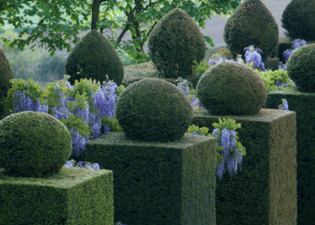 DIX-NEUVIÈME ÉDITION DES RENDEZ-VOUS AUX JARDINS DU 3 AU 5 JUIN 2022