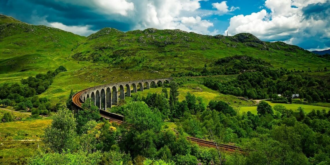 TRAIN