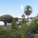 5 idées d’hébergements pour un séjour eco-friendly à Tenerife