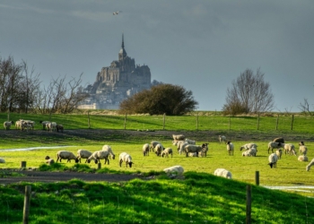 campagne normande