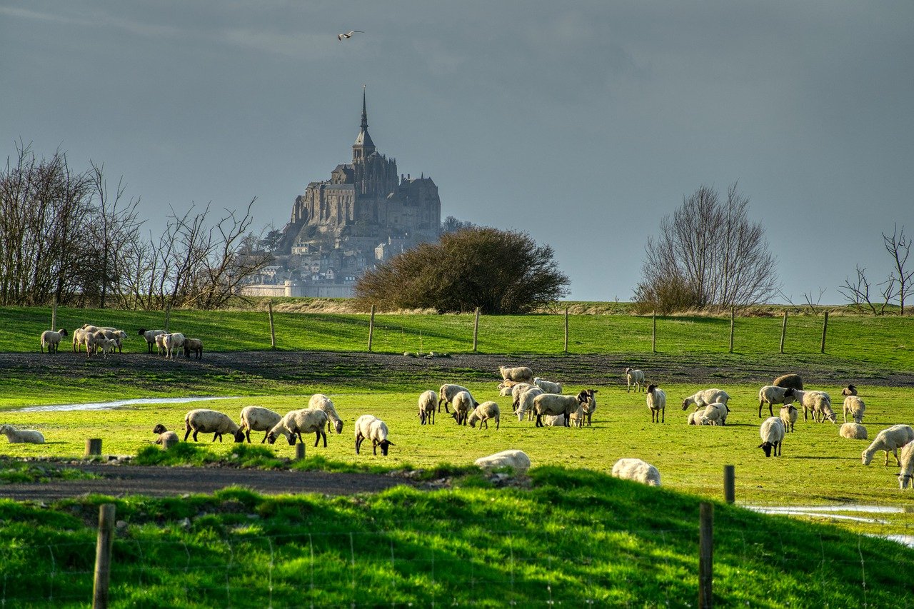 campagne normande