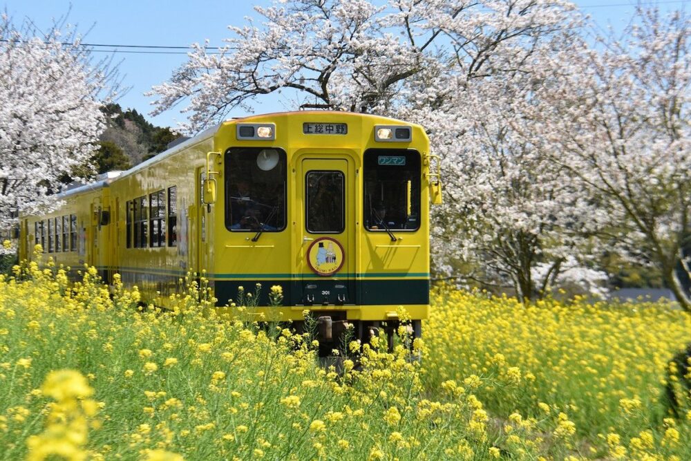 TRAIN
