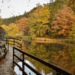 Top 6 des sentiers de randonnée dans les parcs naturels tchèques