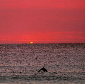 Virginia Beach