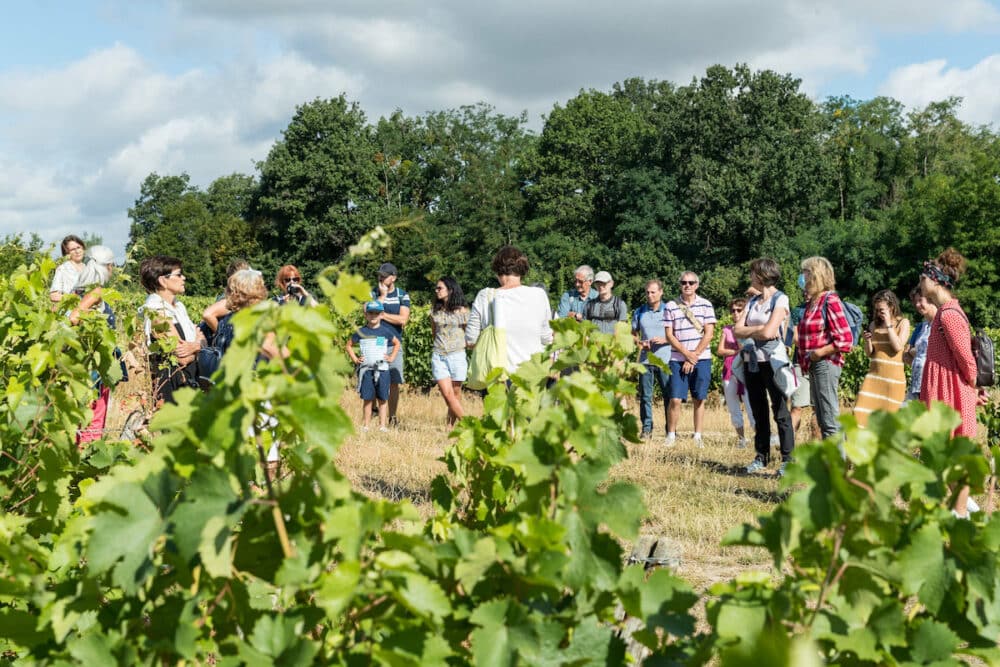 On pique-nique chez le Vigneron Indépendant