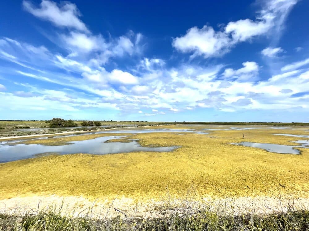 L’ile de Ré