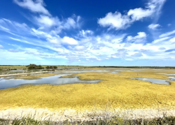 L’ile de Ré