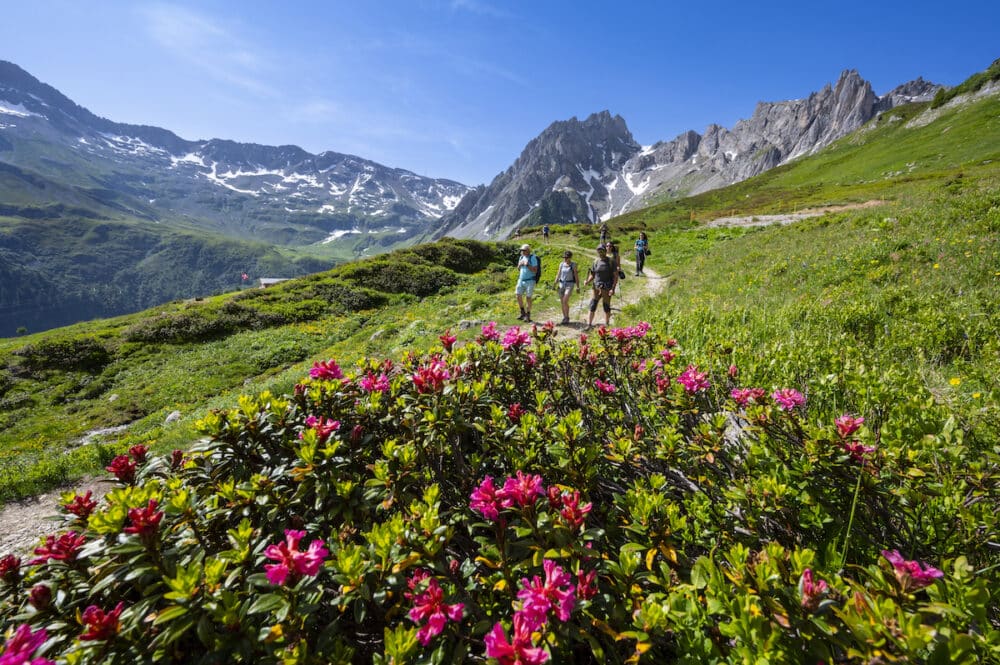 MONT BLANC