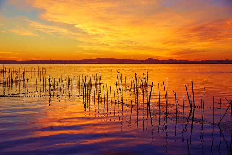 La Albufera