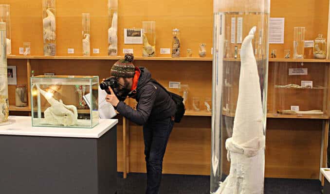 Musée en Islande