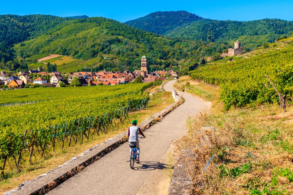 vins et spiritueux