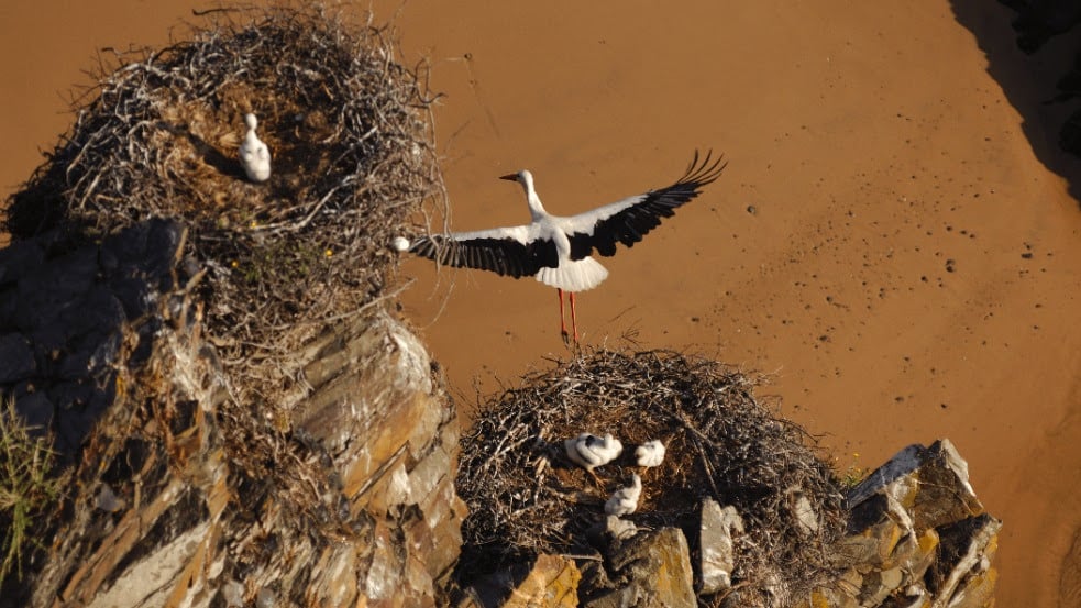 Trilho Dos Pescadores, une randonnée au Portugal