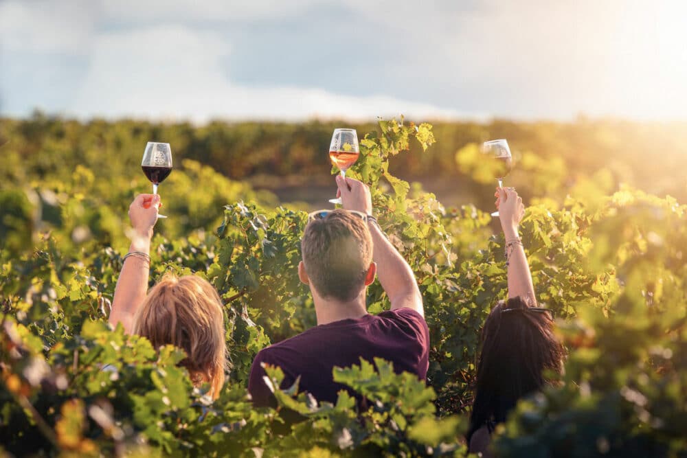 Le Fascinant Week-end Vignobles & Découvertes : Immersion au cœur de nos terroirs du 13 au 16 octobre 2022